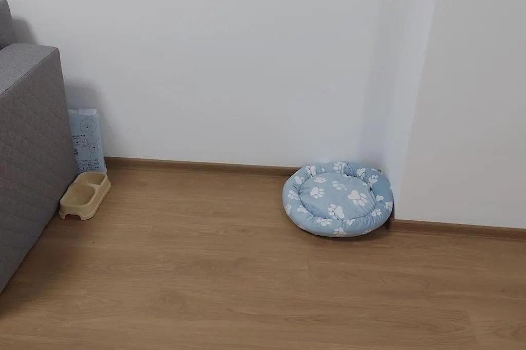 Apartamentul Relaxarii M&F Bucharest Romania